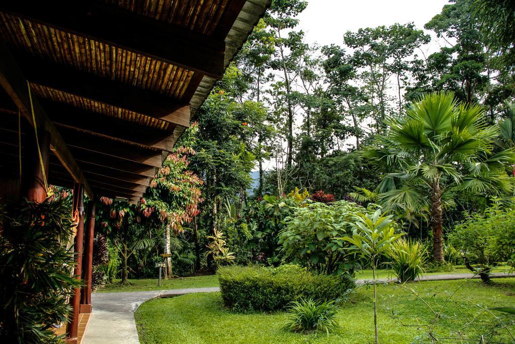 Catarata Eco Lodge La Fortuna ภายนอก รูปภาพ