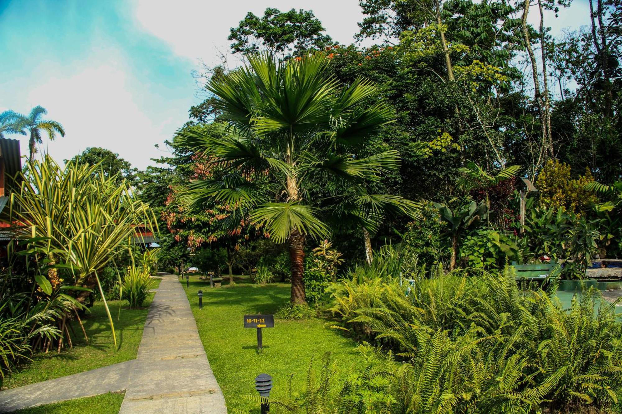 Catarata Eco Lodge La Fortuna ห้อง รูปภาพ
