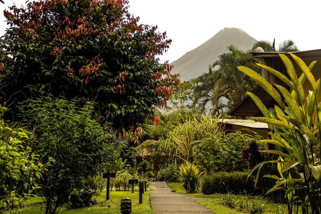 Catarata Eco Lodge La Fortuna ภายนอก รูปภาพ