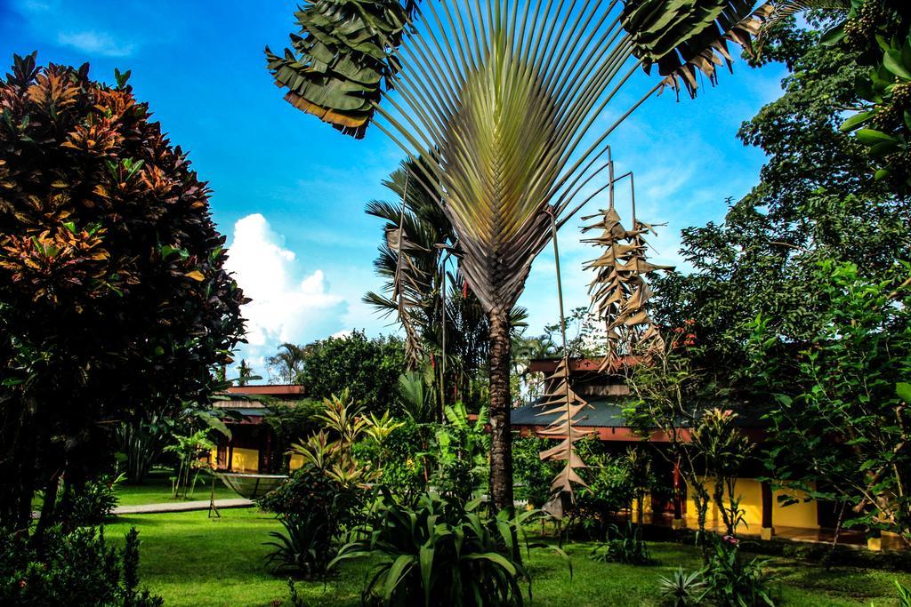 Catarata Eco Lodge La Fortuna ภายนอก รูปภาพ